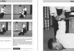 Budo - SAITO & TOUTAIN