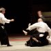 NAMT-2012-Toutain-(c)Vendamme 29