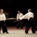 NAMT-2012-Toutain-(c)Vendamme 8