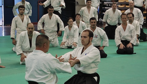 Aikido stage
